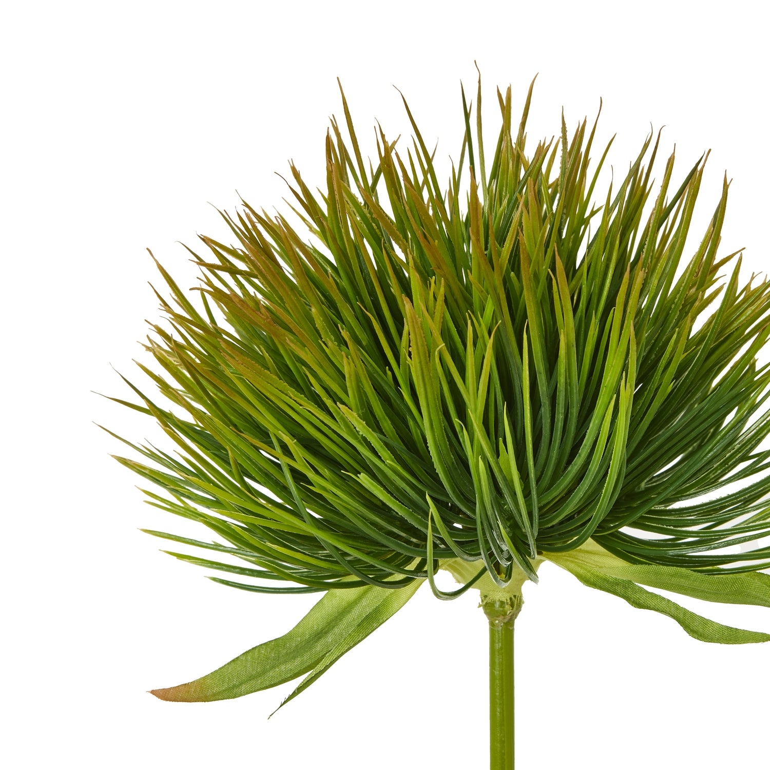 Green Moss Stem [cid:23854-a]