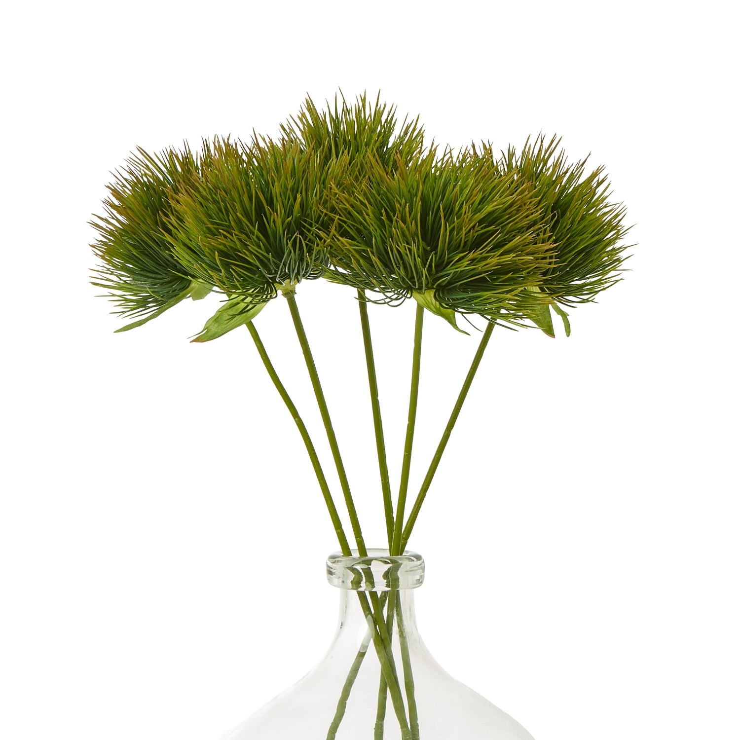 Green Moss Stem [cid:23854-b]