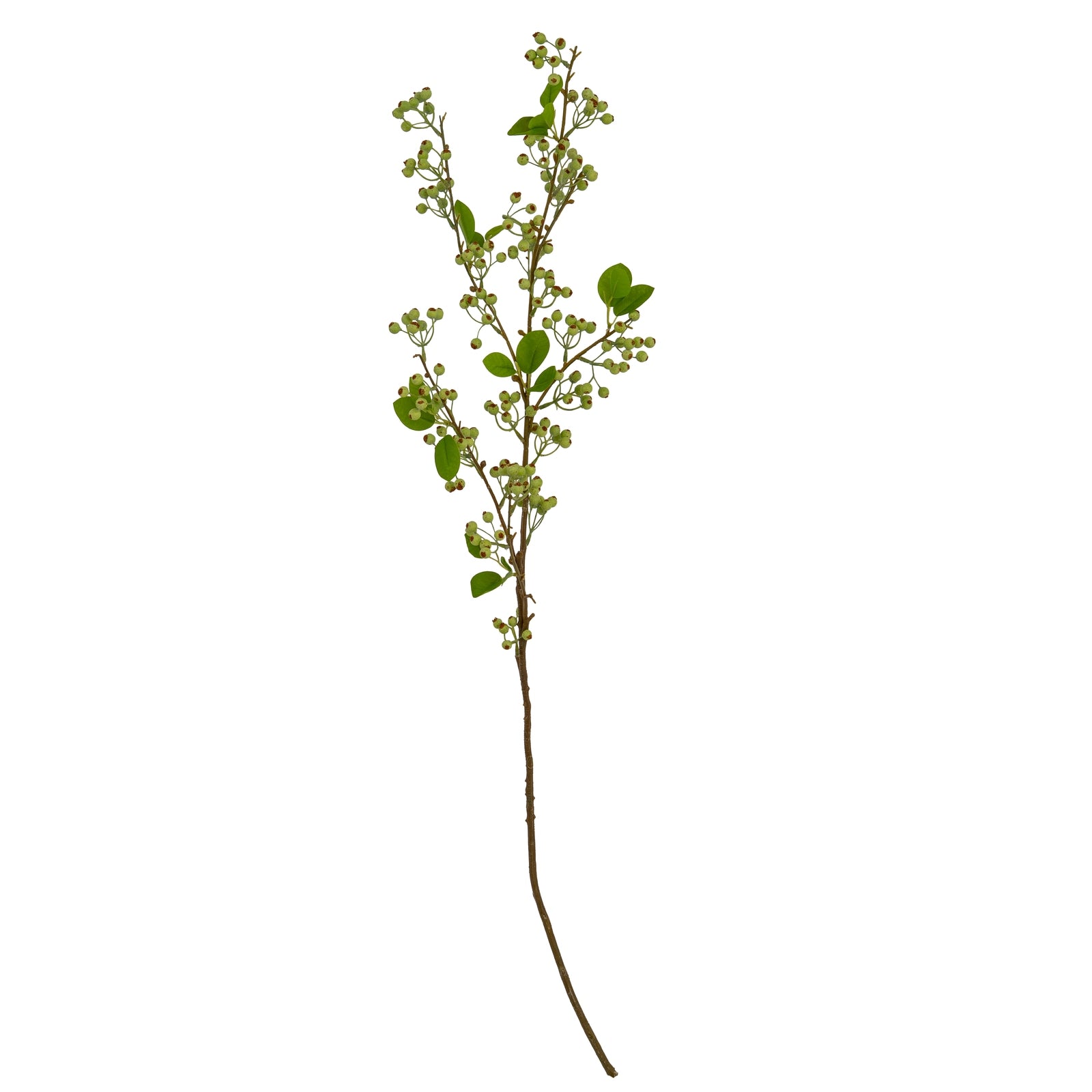 Green Mossberry Large Branch_4930