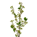 Green Mossberry Large Branch_4929
