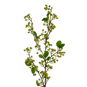 Green Mossberry Large Branch_4929