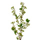 Green Mossberry Large Branch_4929