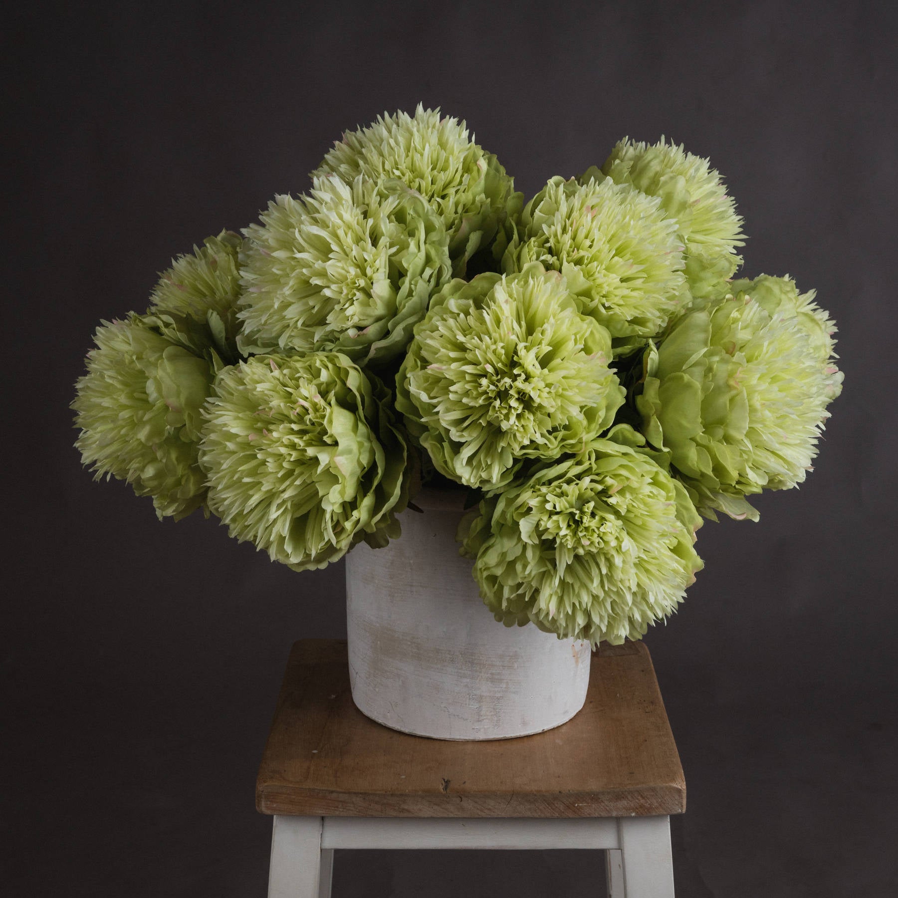 Green Peony_4932
