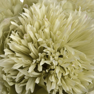 Green Peony_4936