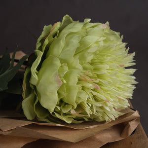 Green Peony_4934