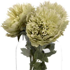 Green Peony_4935