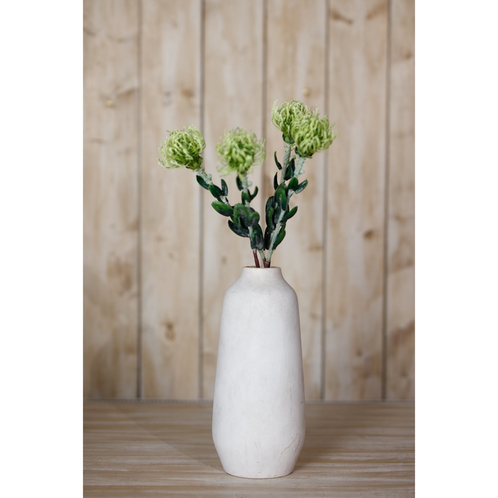 Green Pincushion Protea Spray_4940
