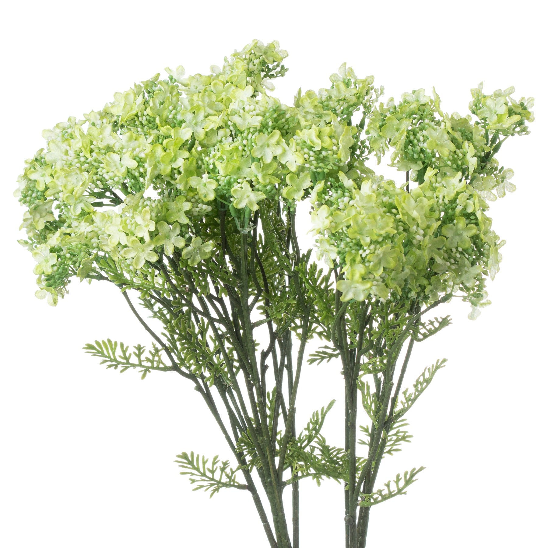 Green Plumb Blossom Spray_4942