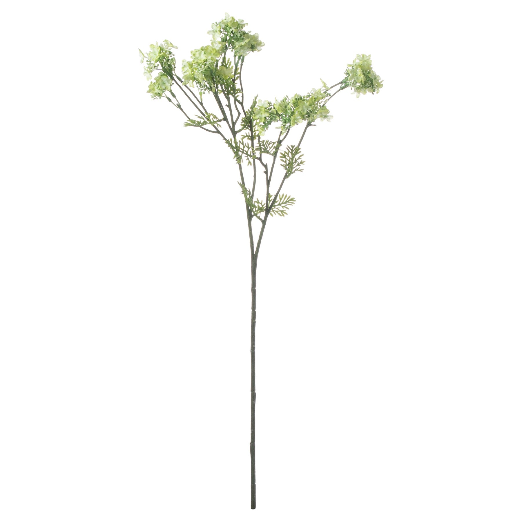 Green Plumb Blossom Spray_4943