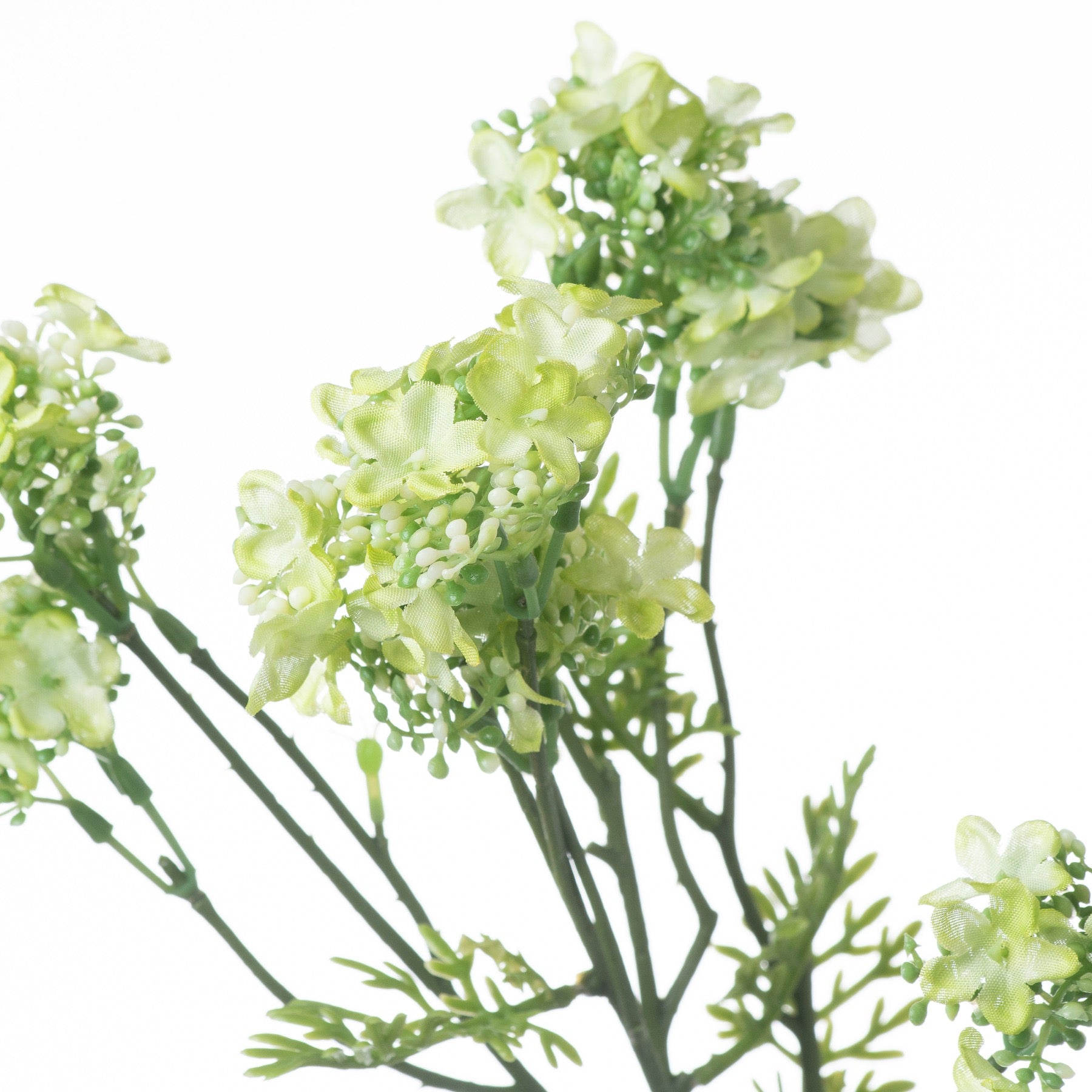 Green Plumb Blossom Spray_4944