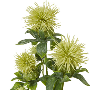 Green Safflower Spray [cid:23815-a]