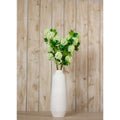 Green Snowball Viburnum Spray_4972
