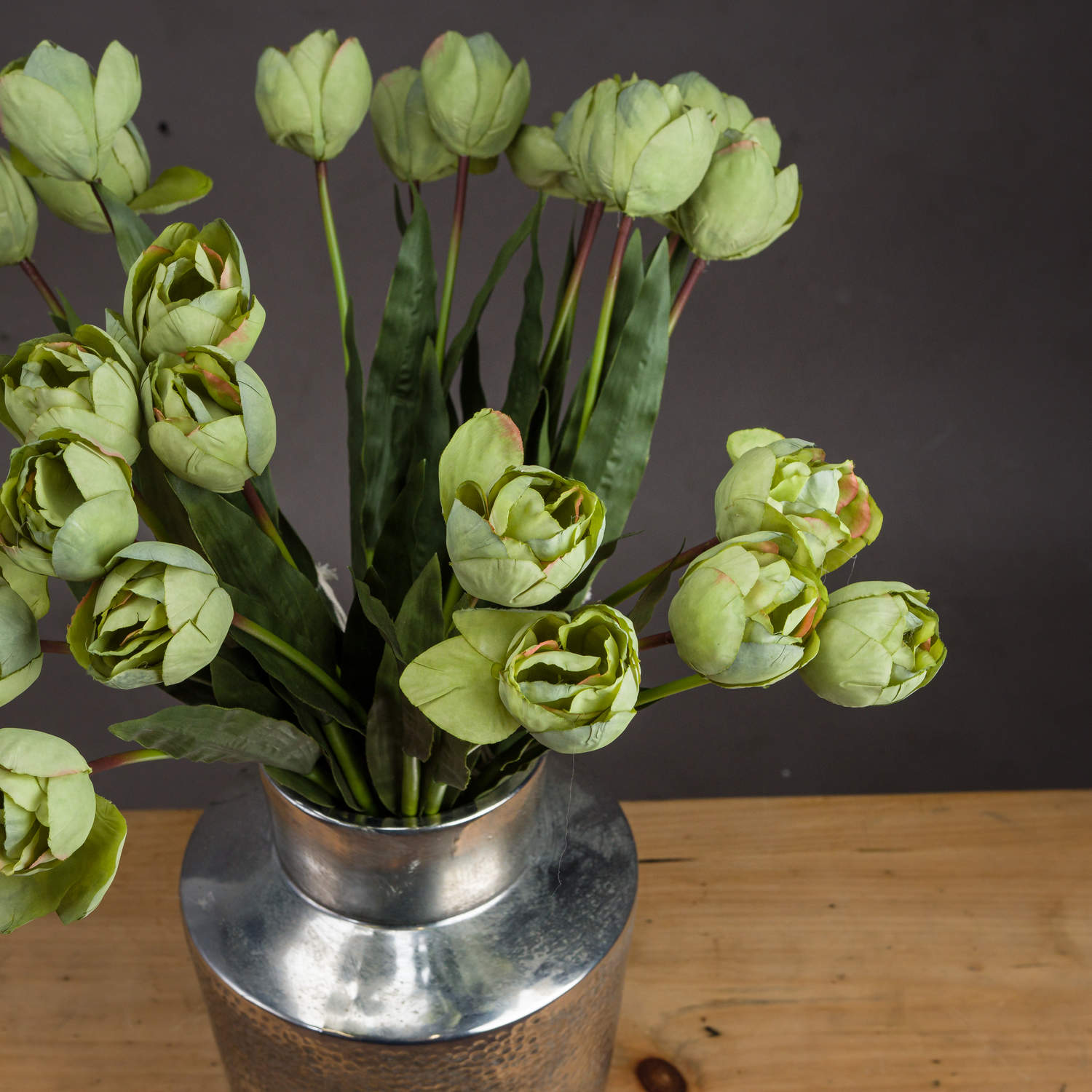 Green Tulip_4975