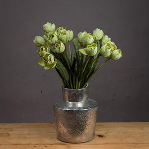 Green Tulip_4974