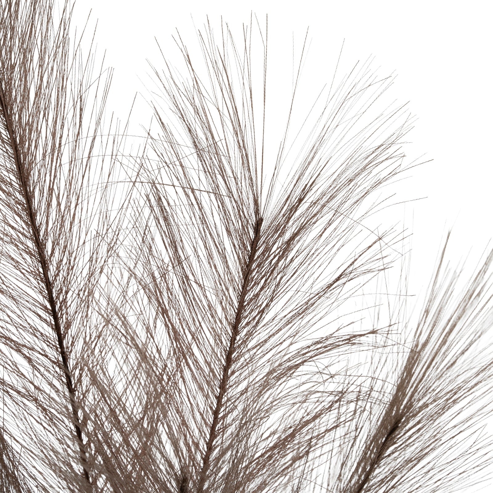 Grey Faux Pampas Grass Stem_4991