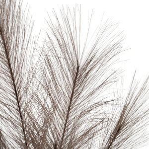 Grey Faux Pampas Grass Stem_4991