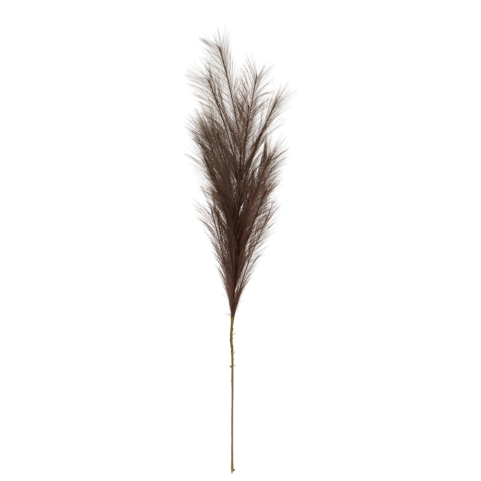 Grey Faux Pampas Grass Stem_4988