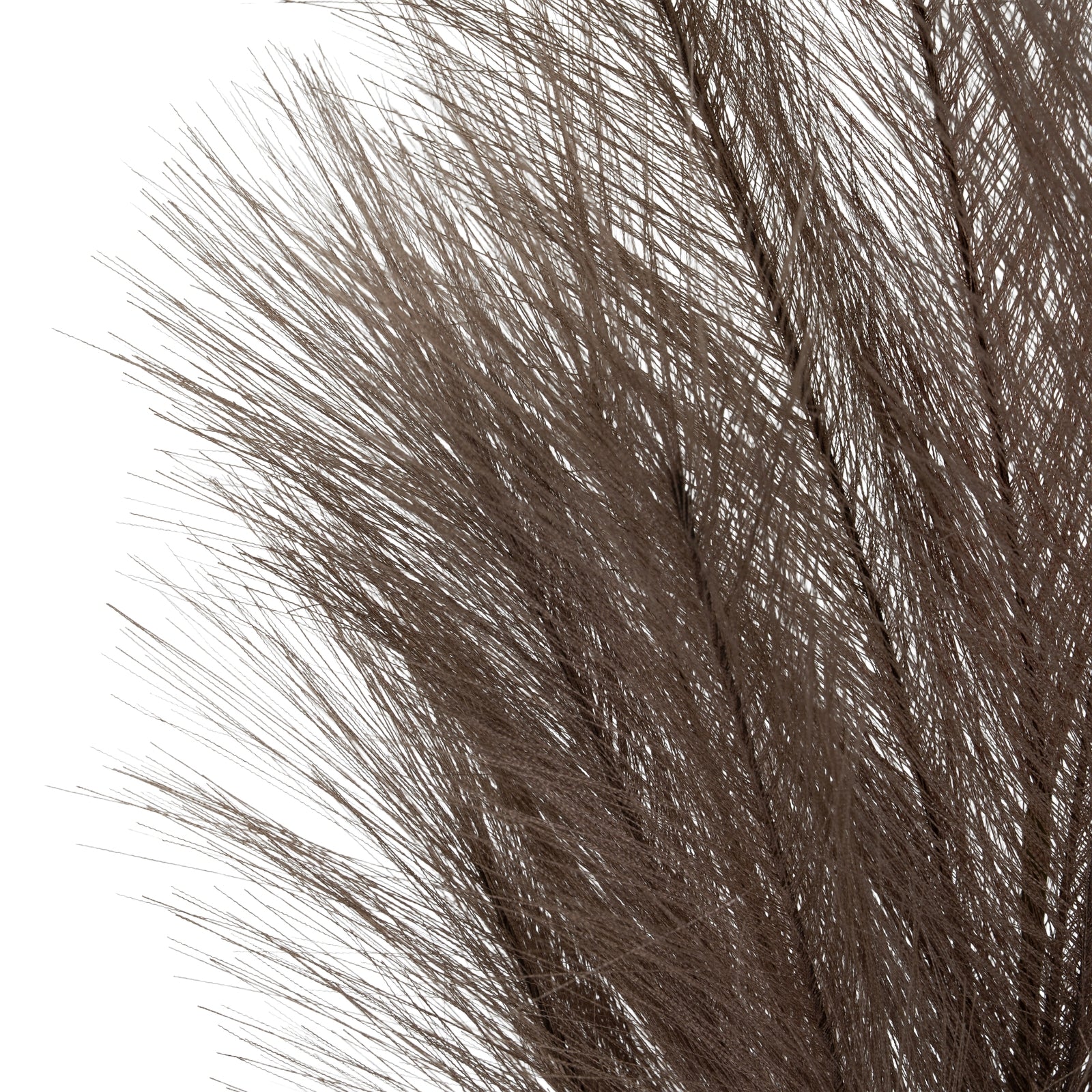 Grey Faux Pampas Grass Stem_4990
