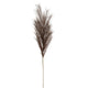 Grey Large Faux Pampas Grass Stem_4992