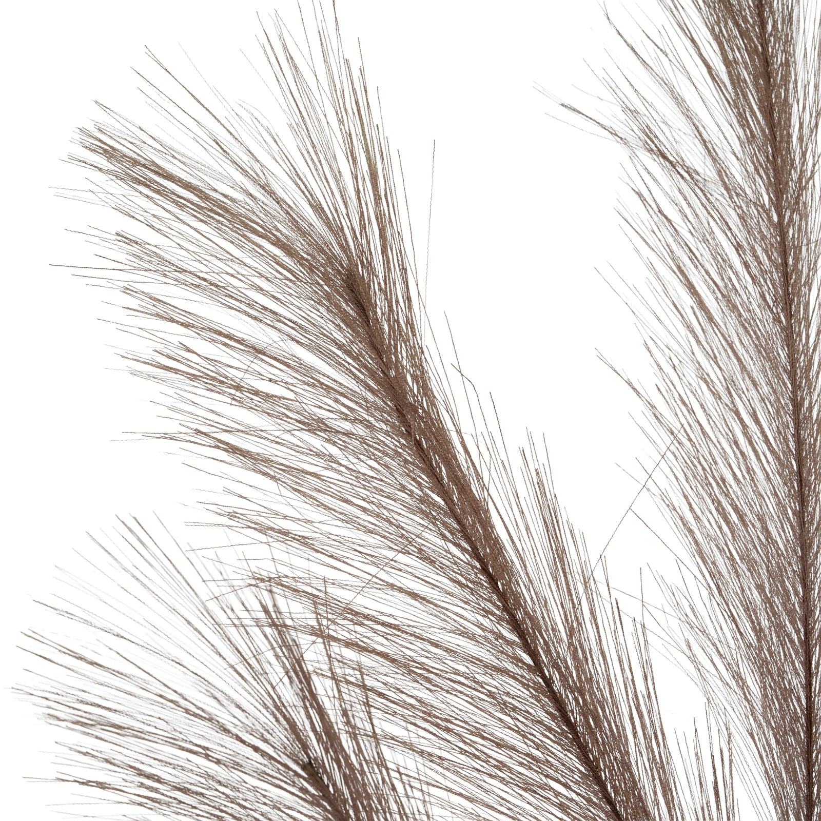 Grey Large Faux Pampas Grass Stem_4995