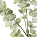 Gunnii Eucalyptus Spray_5002