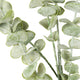 Gunnii Eucalyptus Spray_5002