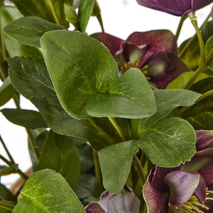 Deep Plum Hellebore Plant In Taupe Pot [cid:23763-b]