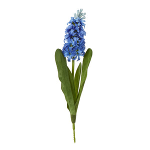 Blue Hyacinth Stem [cid:23875]