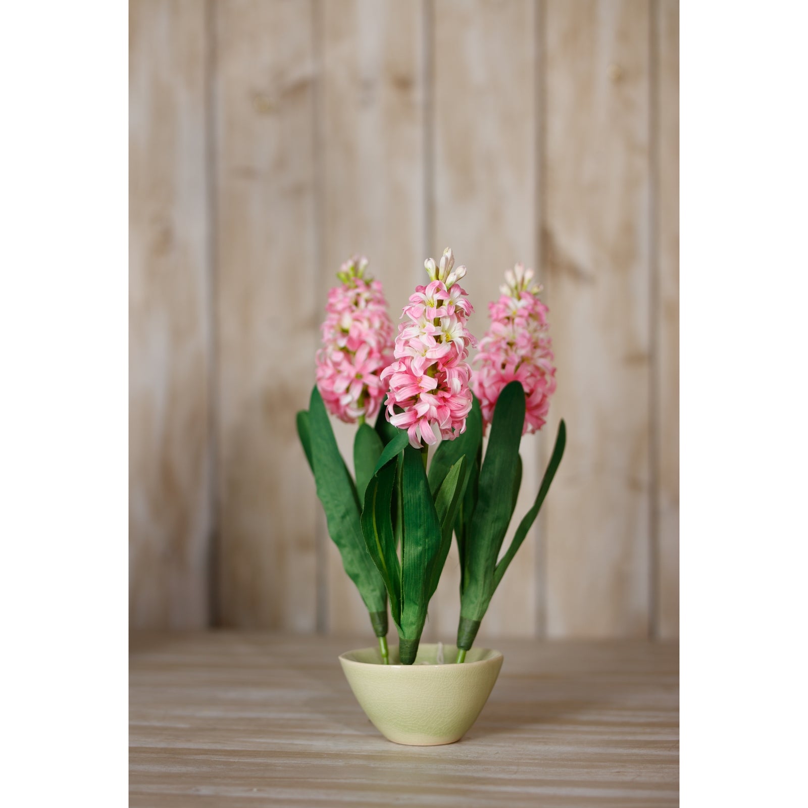 Pink Hyacinth Stem [cid:23877-c]