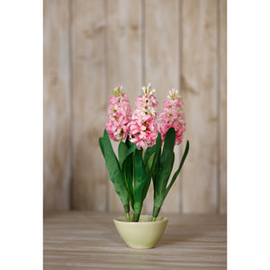 Pink Hyacinth Stem [cid:23877-c]