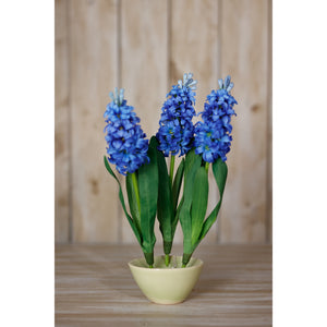 Blue Hyacinth Stem [cid:23875-c]