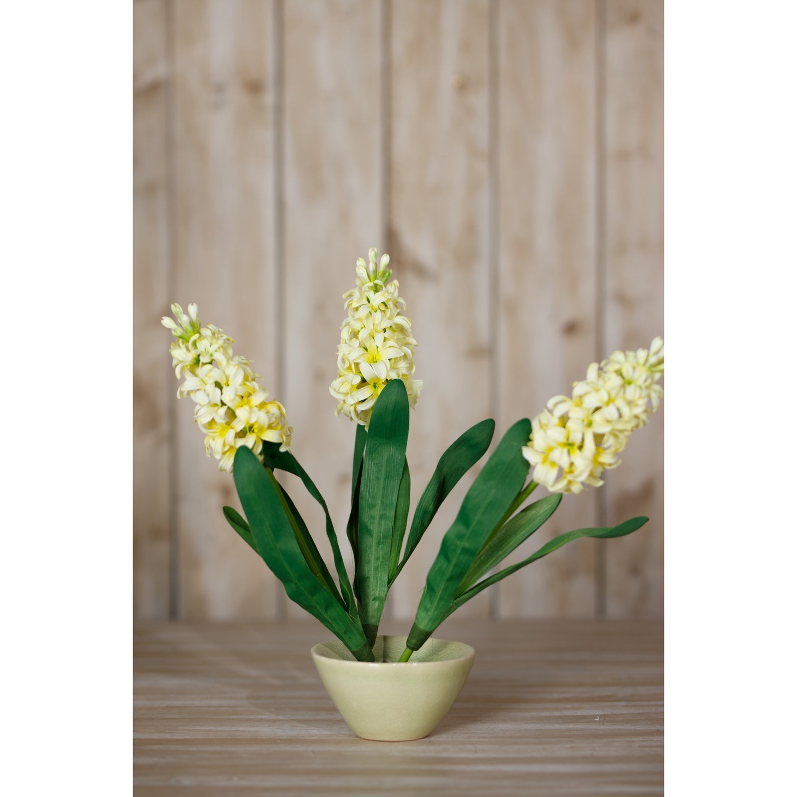 Yellow Hyacinth Stem [cid:23878-c]