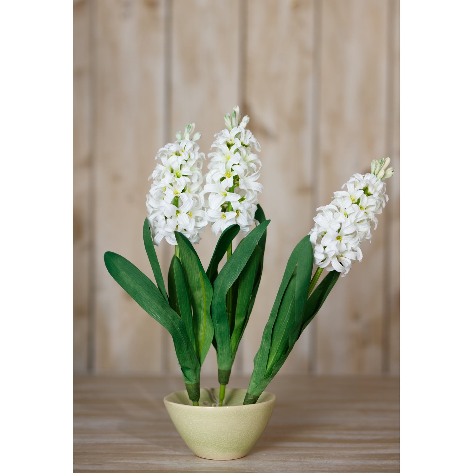 White Hyacinth Stem [cid:23876-c]