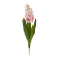 Pink Hyacinth Stem [cid:23877]