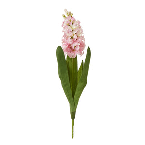 Pink Hyacinth Stem [cid:23877]