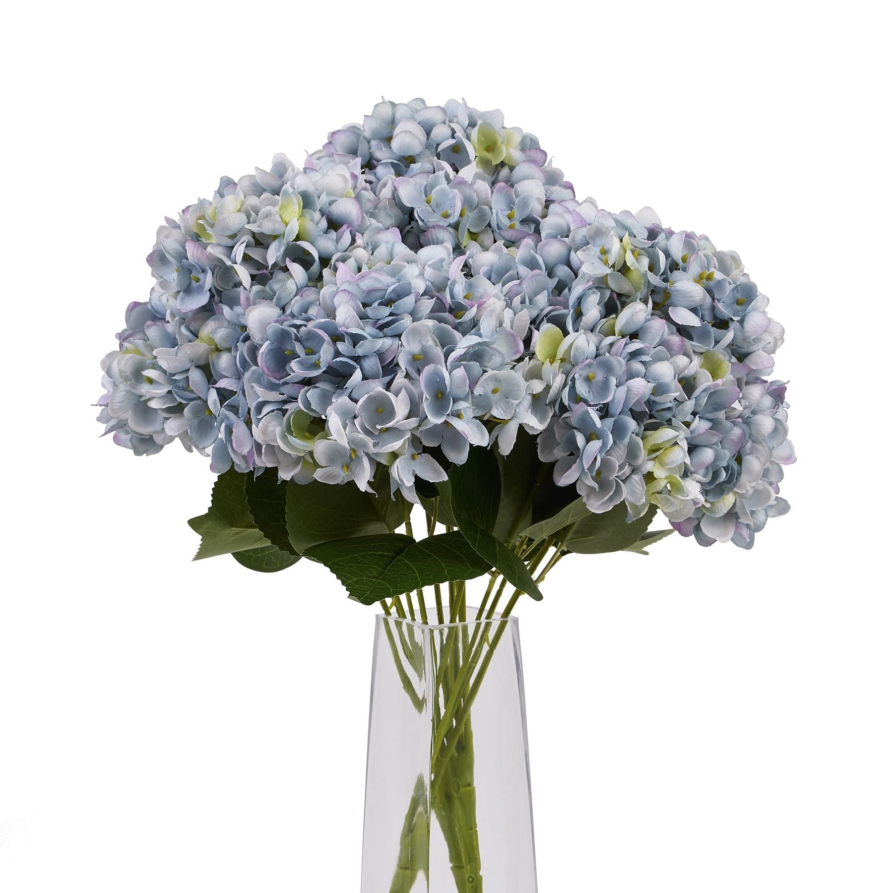 Hydrangea Bunch_4449