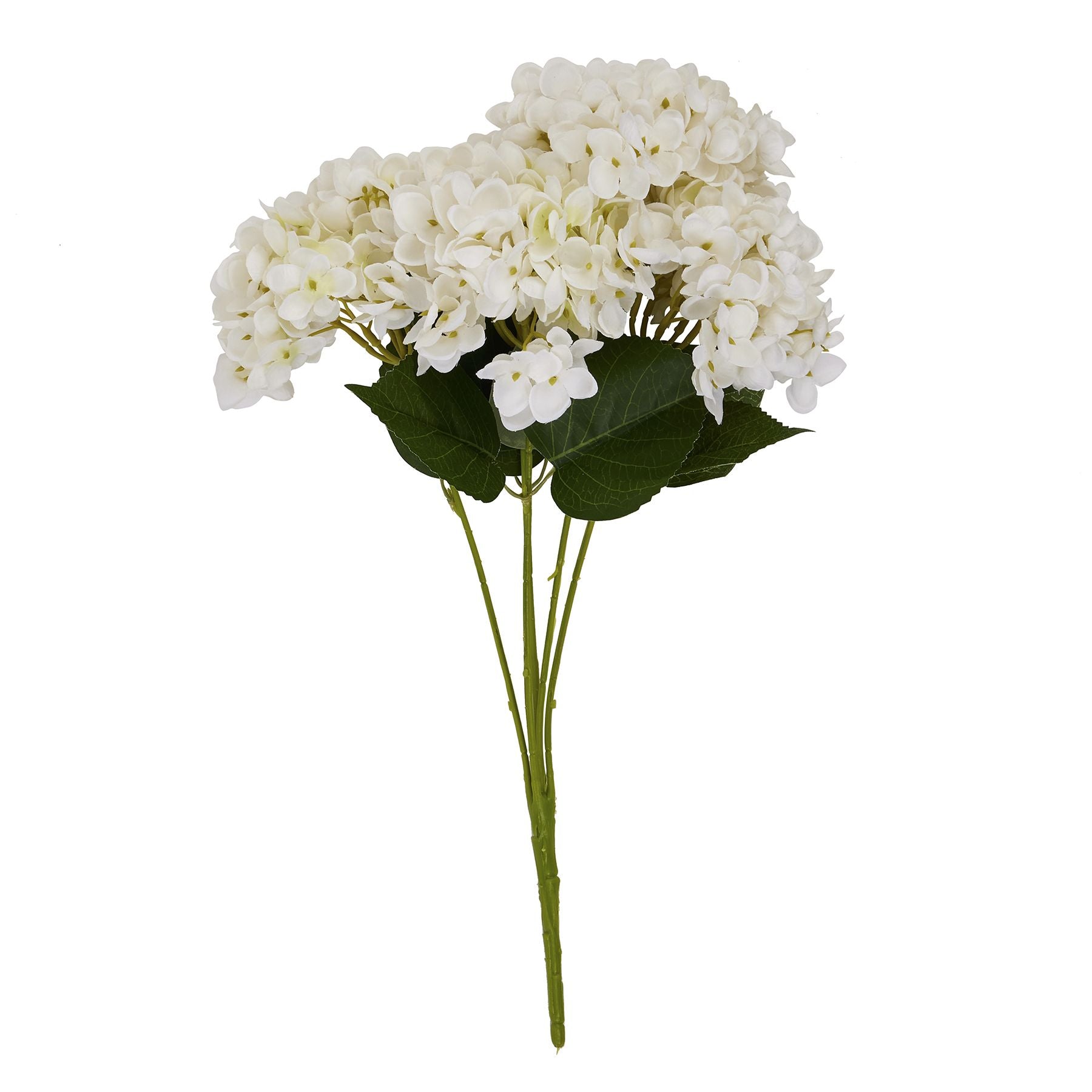 Hydrangea Bunch_5879