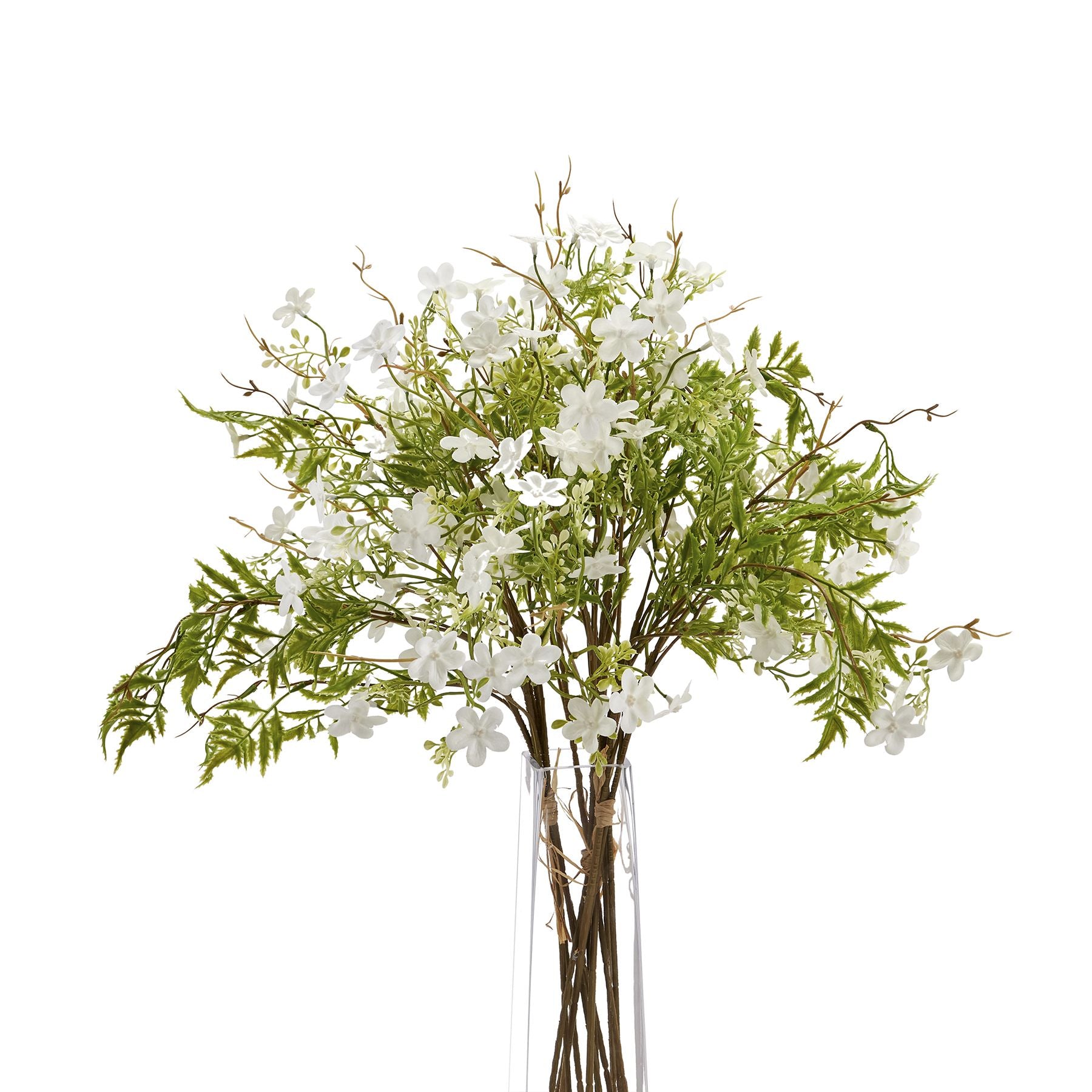 Italian White Bellflower_5007