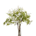 Italian White Bellflower_5003