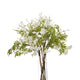 Italian White Bellflower_5003