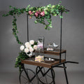 Ivy Garland_1812