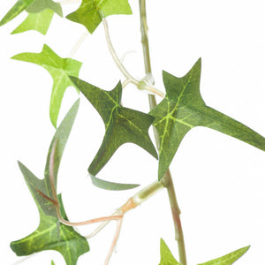 Ivy Garland_3201