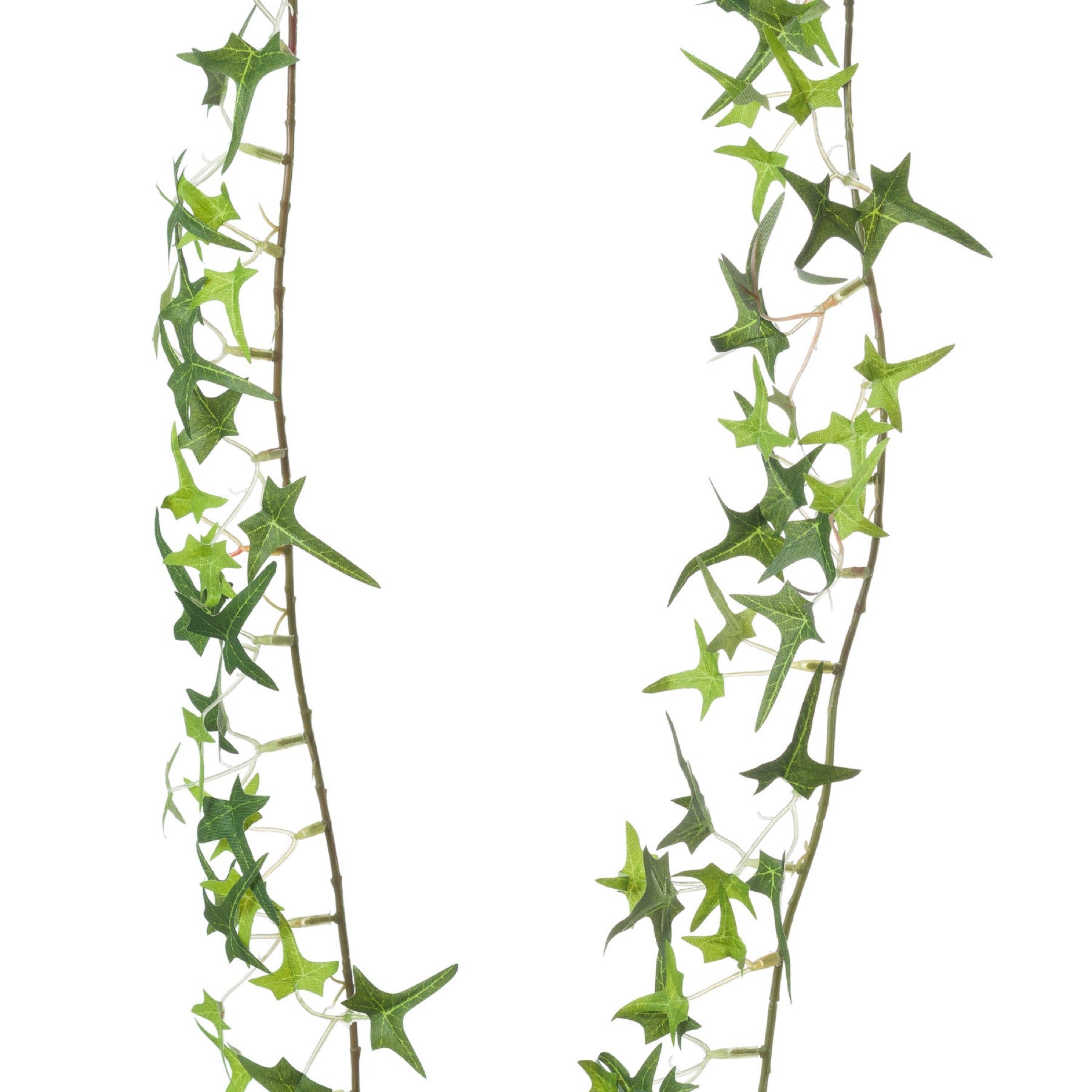 Ivy Garland_3200