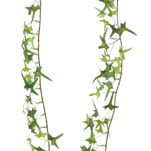 Ivy Garland_3200