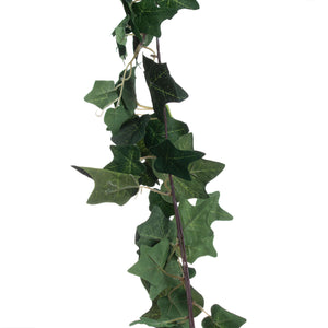Ivy Garland_1809