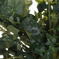 Ivy Pick_5009
