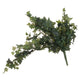 Ivy Pick_5008