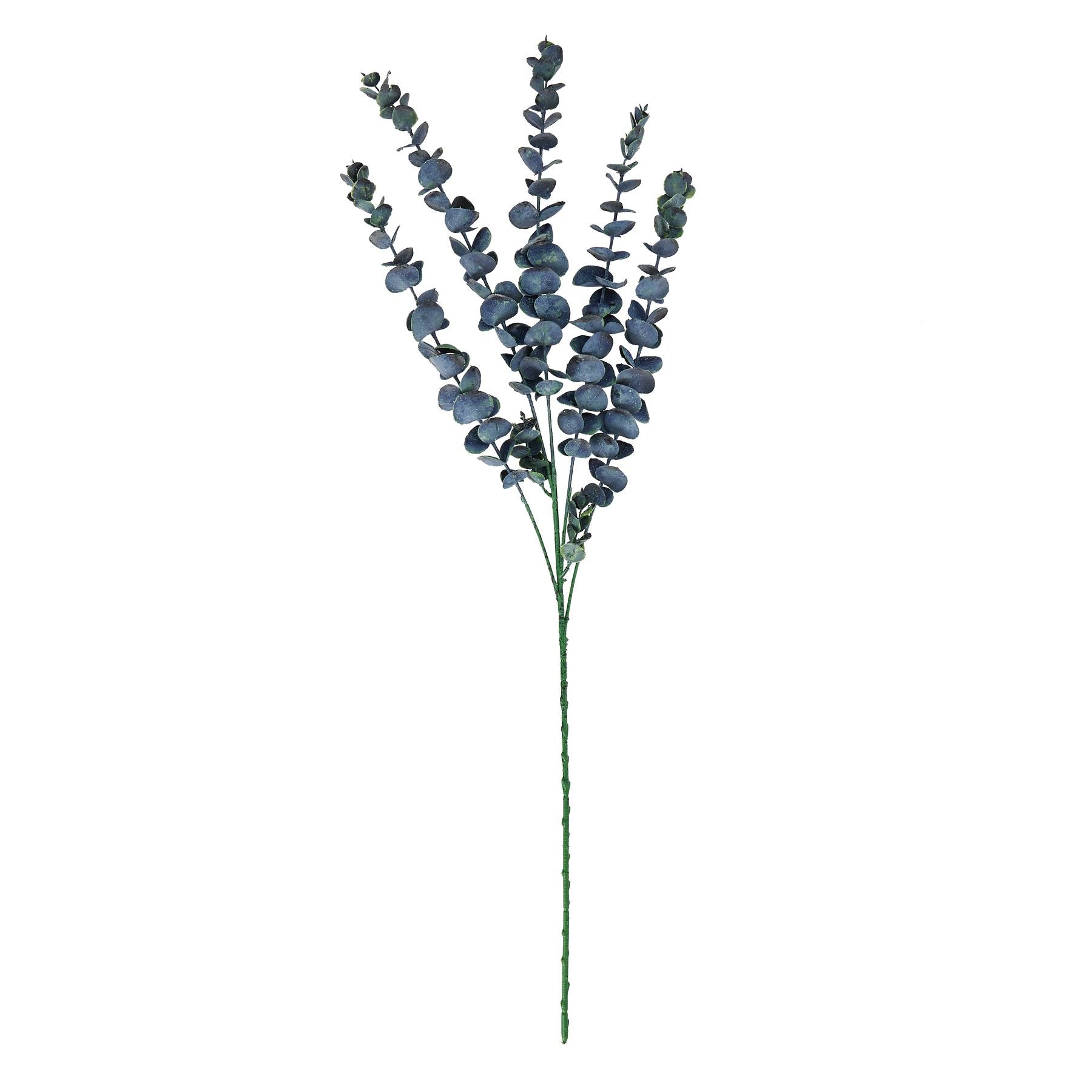 Large Blue Eucalyptus Stem_5023