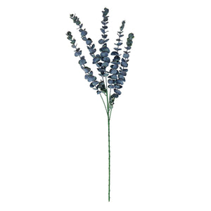 Large Blue Eucalyptus Stem_5023