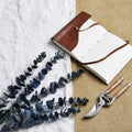 Large Blue Eucalyptus Stem_5021